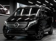 Mercedes-Benz V250 2022 - 01 xe duy nhất giao ngay hot nhất thị trường giá 3 tỷ 669 tr tại Tp.HCM