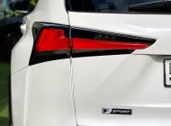 Lexus NX 300 2018 - Model 2019 giá 2 tỷ 279 tr tại Tp.HCM