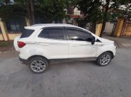 Ford EcoSport 2019 - Xe 1 chủ, full bảo dưỡng, không đâm đụng giá 485 triệu tại Hà Nam