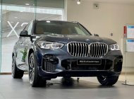 BMW X5 2023 - [Ưu đãi hot tặng 50% phí trước bạ T4/2023] - Có xe giao ngay trong tháng giá 3 tỷ 799 tr tại Tp.HCM