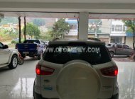 Ford EcoSport 2015 - Bản full option giá 405 triệu tại Lào Cai