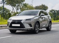 Lexus NX 300 2020 - Màu xám, nhập khẩu số tự động giá 2 tỷ 450 tr tại Hà Nội