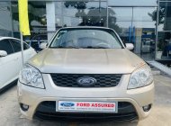 Ford Escape 2010 - Giá hữu nghị giá 335 triệu tại Tp.HCM