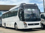 Hyundai Universe 2019 - Xả lỗ giá rẻ giá 2 tỷ 450 tr tại Tp.HCM