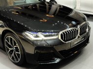 BMW 520i 2022 - Hot, ưu đãi cực tốt tại Bình Dương giá 2 tỷ 559 tr tại Bình Dương