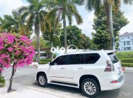 Lexus GX 460 Xe Chủ Tịch -  460 2015 Trắng Xe Gia Đình 2015 - Xe Chủ Tịch Lexus- GX 460 2015 Trắng Xe Gia Đình giá 2 tỷ 350 tr tại Bình Dương