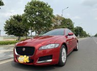 Jaguar XF 2016 - Sedan 5 chỗ cực rộng giá 1 tỷ 200 tr tại Tp.HCM