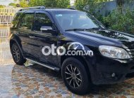 Ford Escape   2009 - Ford Escape giá 210 triệu tại Đồng Tháp