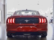 Ford Mustang 2022 - Xe mới 100% chưa lăn bánh giá 3 tỷ 150 tr tại Tp.HCM