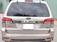 Ford Escape   2009 số tự động 2009 - Ford Escape 2009 số tự động giá 245 triệu tại BR-Vũng Tàu