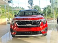 Kia Seltos 2023 - Nhận xe chỉ với 240 triệu giá 599 triệu tại Thanh Hóa