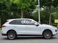 Porsche Cayenne   Platinum Edition model 2018 2017 - Porsche Cayenne Platinum Edition model 2018 giá 2 tỷ 800 tr tại Tp.HCM