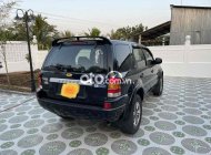 Ford Escape Cần lên 7 chỗ bán   suv 5 chỗ 2003 - Cần lên 7 chỗ bán ford escape suv 5 chỗ giá 175 triệu tại Sóc Trăng