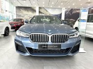 BMW 530i 2022 - mới 100%, giảm tiền măt, tặng bảo hiểm, chỉ cần 550tr nhận xe với lái suất 0,69%/tháng giá 2 tỷ 769 tr tại Hà Nội