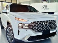 Hyundai Santa Fe 2023 - Trả trước 206tr có ngay xế cưng 7 chỗ, cực rộng rãi, giao ngay tận nhà cho khách giá 1 tỷ 55 tr tại Long An