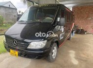 Mercedes-Benz Sprinter printer 313 2009 - printer 313 giá 130 triệu tại TT - Huế