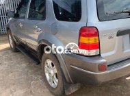 Ford Escape   2002 Xlt 2002 - Ford Escape 2002 Xlt giá 85 triệu tại Gia Lai