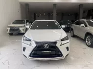 Lexus NX 300 2019 - Chính chủ bán Lexus NX300 mode 2019, sơn zin cả xe, full lịch sử hãng giá 1 tỷ 720 tr tại Hà Nội