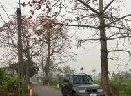 Suzuki Vitara 2005 - Chính chủ bán xe Vitara 2005 giá 120 triệu tại Hà Nội