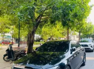 Mercedes-Benz E300 2019 - Mercedes-Benz E300 SX 2019 – XE GIA ĐÌNH, CHÍNH CHỦ, BAO CHECK THOẢI MÁI giá 1 tỷ 250 tr tại Tp.HCM