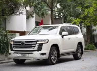 Toyota Land Cruiser LC300 2025 - Xe cực mới, chạy ít, hàng 1 viên đã up Trung Đông giá 5 tỷ 499 tr tại Hà Nội