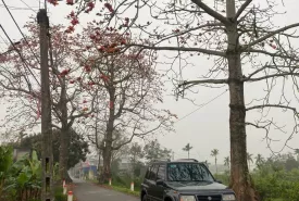 Suzuki Vitara 2005 - Chính chủ bán xe Vitara 2005 giá 120 triệu tại Hà Nội