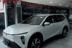 Hãng khác Khác 2026 - Vinfast Limo Green 2026  623 Triệu Nhận Xe Ngay giá 623 triệu tại Tp.HCM