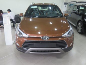 Hyundai i20 Active 2010 - Bán xe Hyundai i20 Active đời 2010, màu nâu giá cạnh tranh