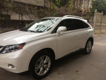 Lexus RX450   2009 - Bán ô tô Lexus RX năm 2009, màu trắng, nhập khẩu chính hãng