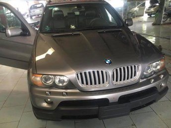 BMW X5 2004 - Bán ô tô BMW X5 đời 2004, màu ghi vàng  