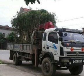 Xe tải 5 tấn - dưới 10 tấn 2011 - Bán Dongfeng 5T năm 2011, màu trắng