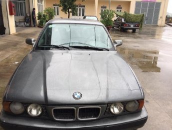 BMW 5 Series 525i 1995 - Bán BMW 525i đời 1995, màu xám, nhập khẩu chính chủ