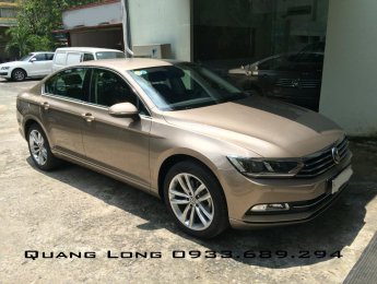 Volkswagen Passat GP 2015 - Passat GP Volkswagen còn nhiều màu - Nhập khẩu nguyên chiếc - LH Mr. Long 0933689294