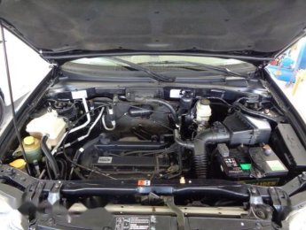 Ford Escape AT 2004 - Bán xe Ford Escape AT đời 2004, màu đen, giá tốt