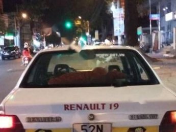Renault 19   1990 - Bán Renault 19 sản xuất 1990, màu trắng, nhập khẩu 