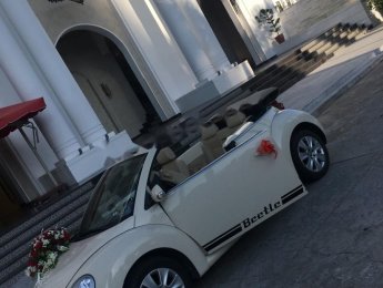 Volkswagen New Beetle 2.5 AT 2009 - Bán Volkswagen New Beetle 2.5 AT đời 2009, màu kem (be), nhập khẩu  