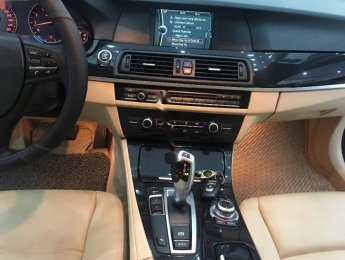 BMW 5 Series 2013 - Cần bán lại xe BMW 5 Series đời 2013, nhập khẩu nguyên chiếc