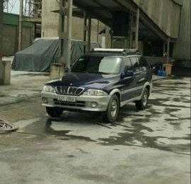 Ssangyong Musso 2003 - Bán Ssangyong Musso đời 2003, màu xanh lam