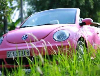 Volkswagen Beetle   2009 - Cần bán lại xe Volkswagen Beetle 2009, màu hồng, nhập khẩu