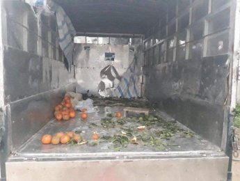 Kia K3000S 2010 - Bán ô tô Kia K3000S 2010, màu xanh dưa