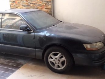 Lexus ES 300 1995 - Bán xe Lexus ES 300 sản xuất 1995, nhập khẩu  