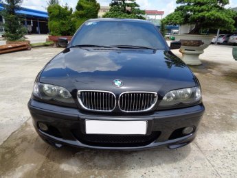 BMW 3 Series 318i 2004 - Bán BMW 3 Series năm 2004, xe nhập khẩu nguyên chiếc từ Đức