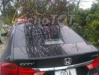 Honda City    2017 - Bán xe Honda City đời 2017, màu đen 