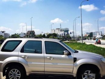 Ford Escape   2011 - Bán ô tô Ford Escape sản xuất 2011, màu bạc, 380 triệu