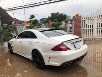 Mercedes-Benz CLS class CLS350 2004 - Bán xe Mercedes CLS350 đời 2004, màu trắng, giá 560tr