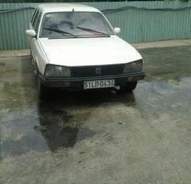 Peugeot 505   1991 - Bán xe Peugeot 505 năm 1991, màu trắng, 30 triệu