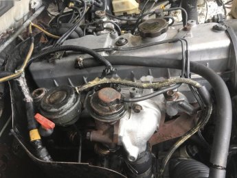 Hyundai Galloper 2003 - Xe Hyundai Galloper sản xuất năm 2003, màu trắng, nhập khẩu