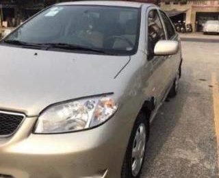 Toyota Vios 1.5G 2003 - Bán Toyota Vios 1.5G năm 2003, màu vàng, giá chỉ 238 triệu