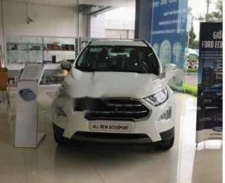 Ford EcoSport   Titanium 1.0 EcoBoost    2018 - Bán EcoSport 1.0L Ecoboost Titanium AT (số tự động 6AT)