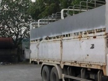 Hino 500 Series 2008 - Cần bán xe Hino 500 Series sản xuất năm 2008, màu trắng